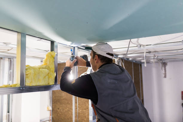 Best Insulation Installation Services in Calico Rock, AR